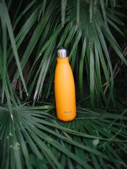 Qwetch Bouteille isotherme - Originals Pop Orange