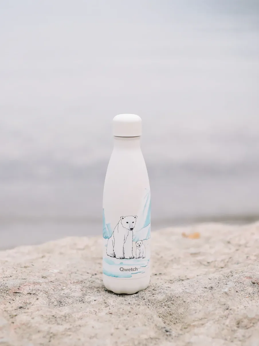 Qwetch Bouteille isotherme - Originals Ours polaire